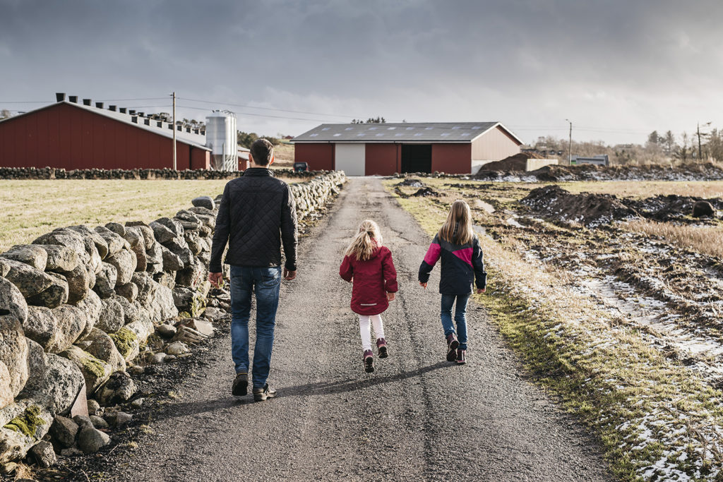 Scandi Standard