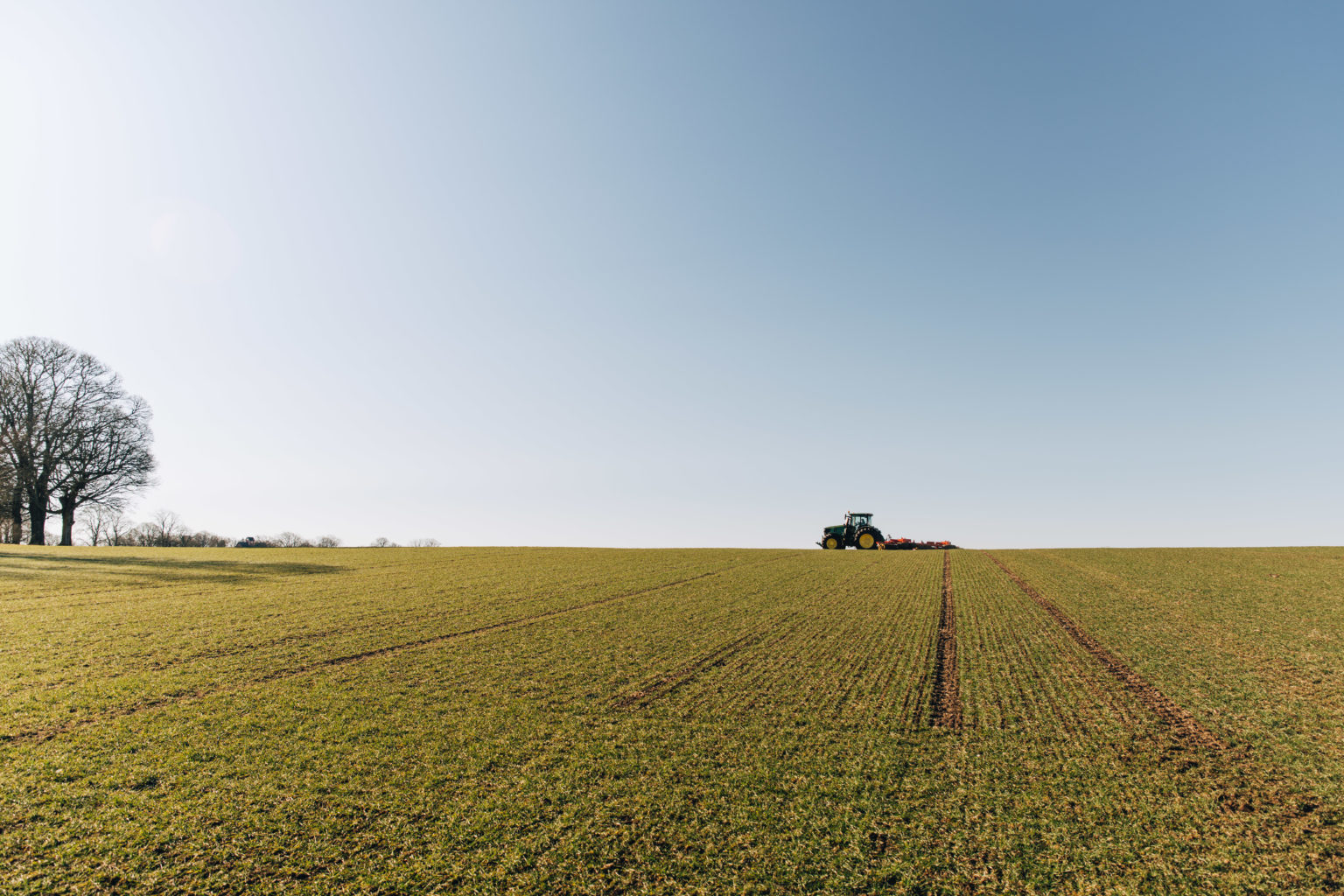 Improvement programme Scandi Standard